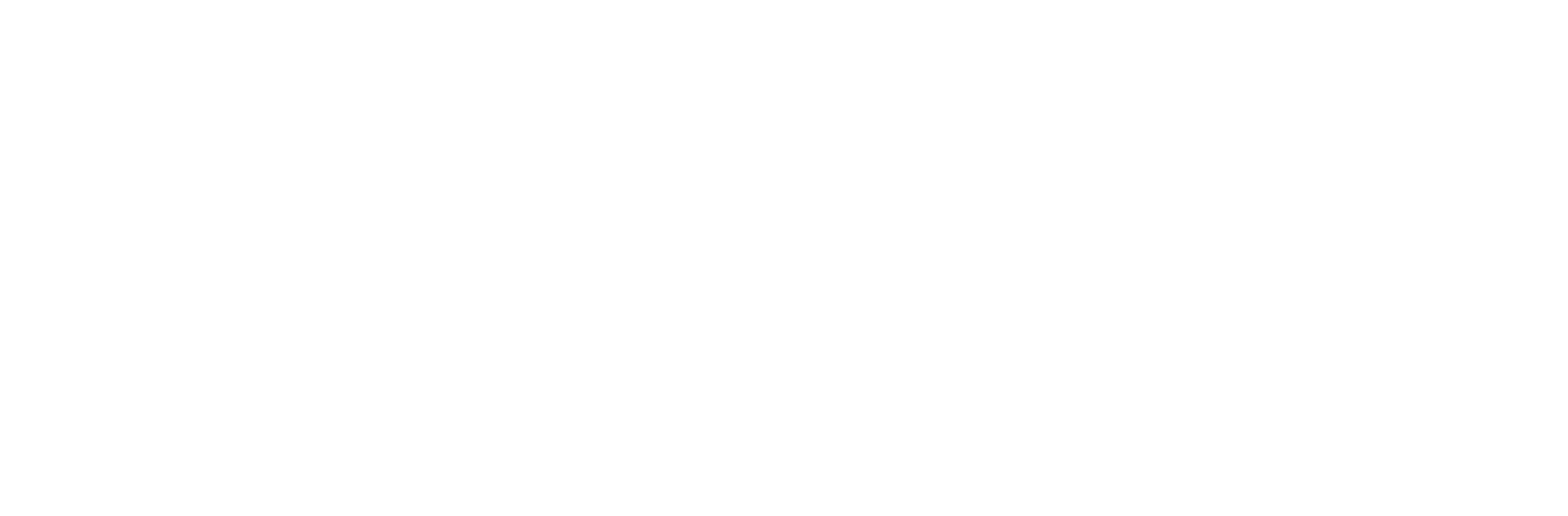 logo dark